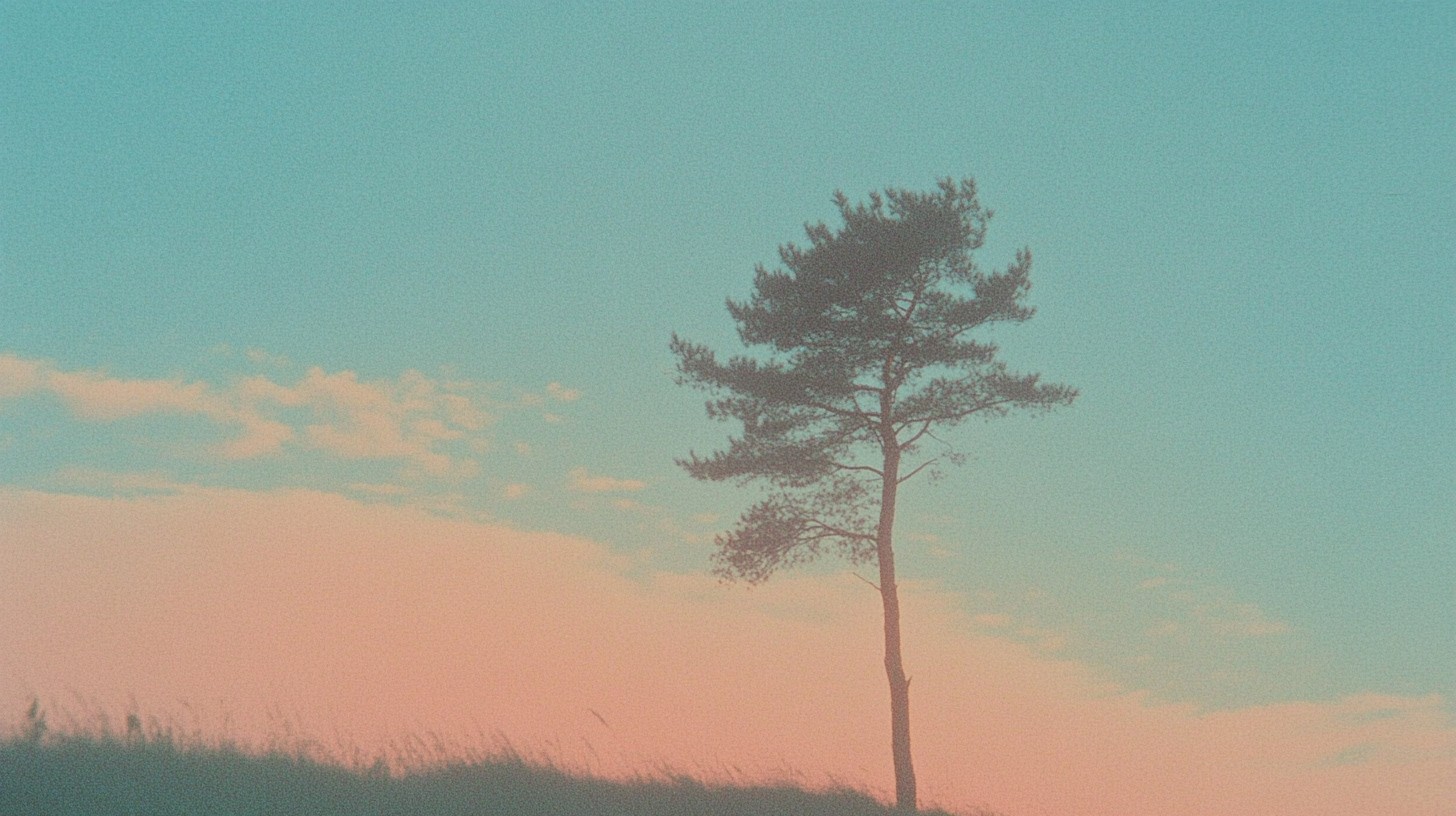 Fujifilm photo example